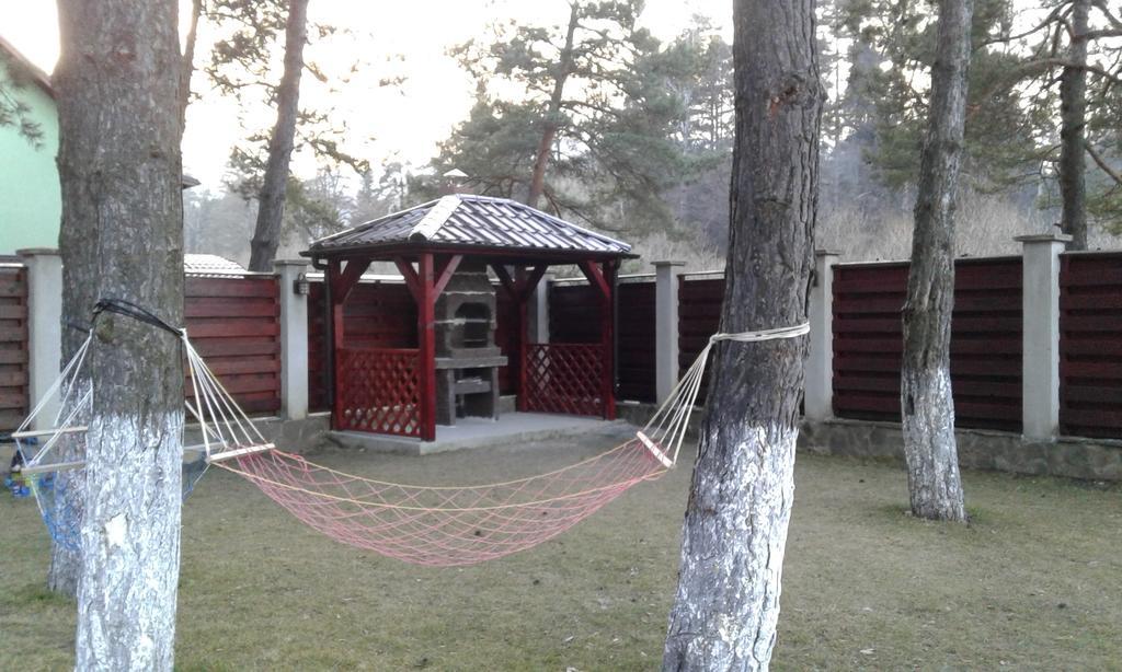 Vila A&N Timisu de Jos Exteriör bild